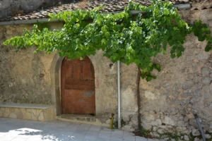 Le Cantine di Via Bacco